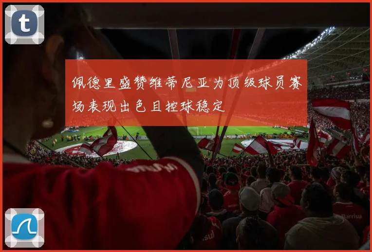 佩德里盛赞维蒂尼亚为顶级球员赛场表现出色且控球稳定