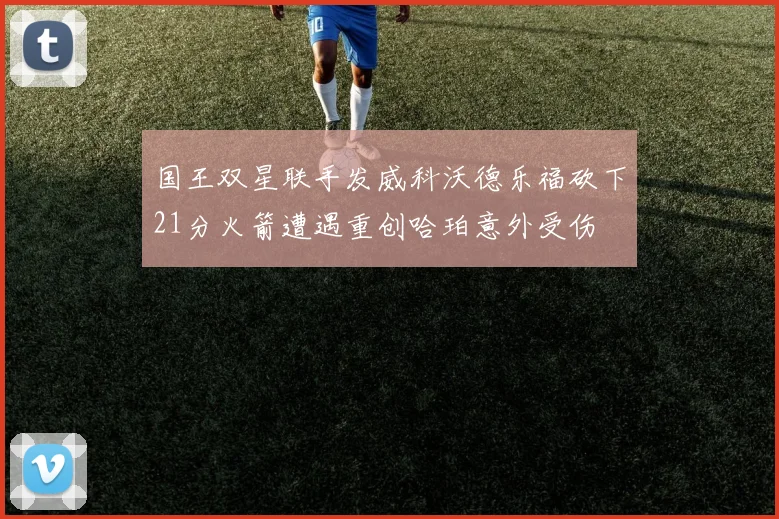 国王双星联手发威科沃德乐福砍下21分火箭遭遇重创哈珀意外受伤