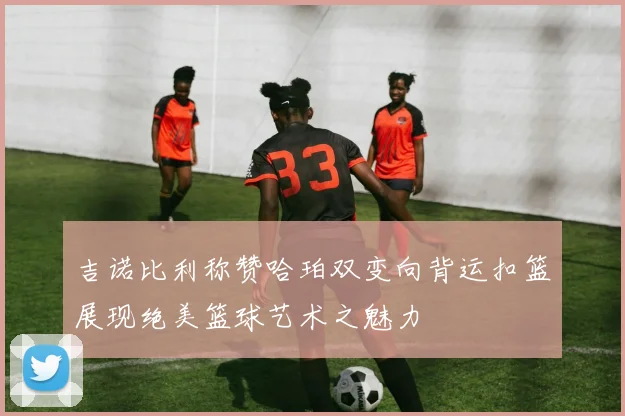 吉诺比利称赞哈珀双变向背运扣篮展现绝美篮球艺术之魅力
