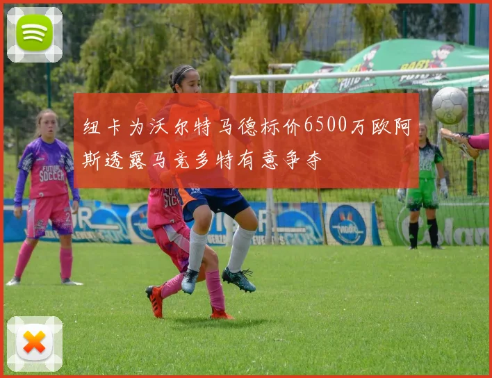 纽卡为沃尔特马德标价6500万欧阿斯透露马竞多特有意争夺